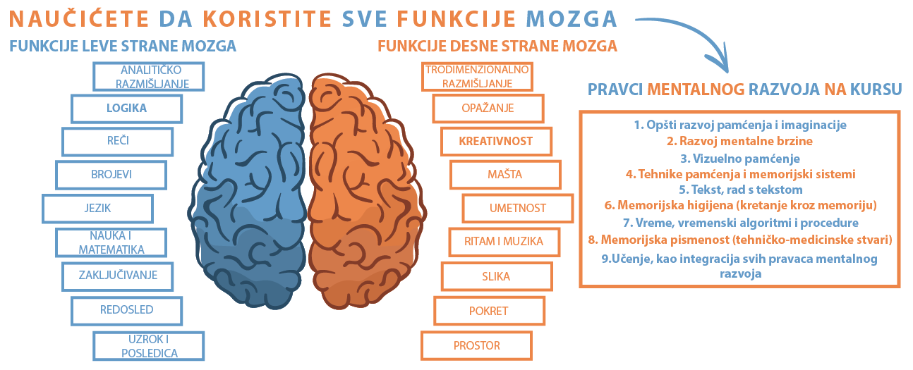 Prezentacija korišćenja mozga